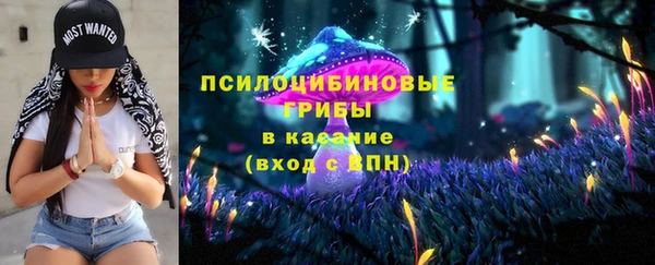 apvp Корсаков