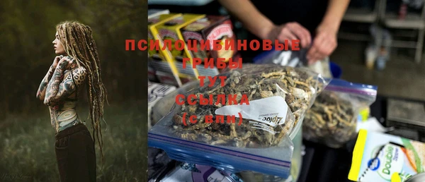 apvp Корсаков