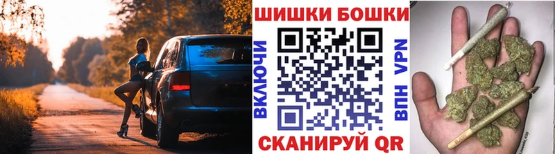 Марихуана план  Купить где  Бакал 