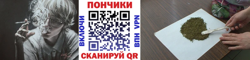 Канабис планчик Бакал